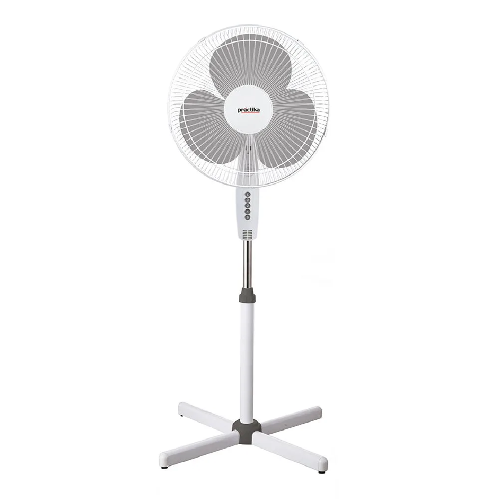 alteainche.jpg Alteainche